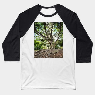 Mangrove Baseball T-Shirt